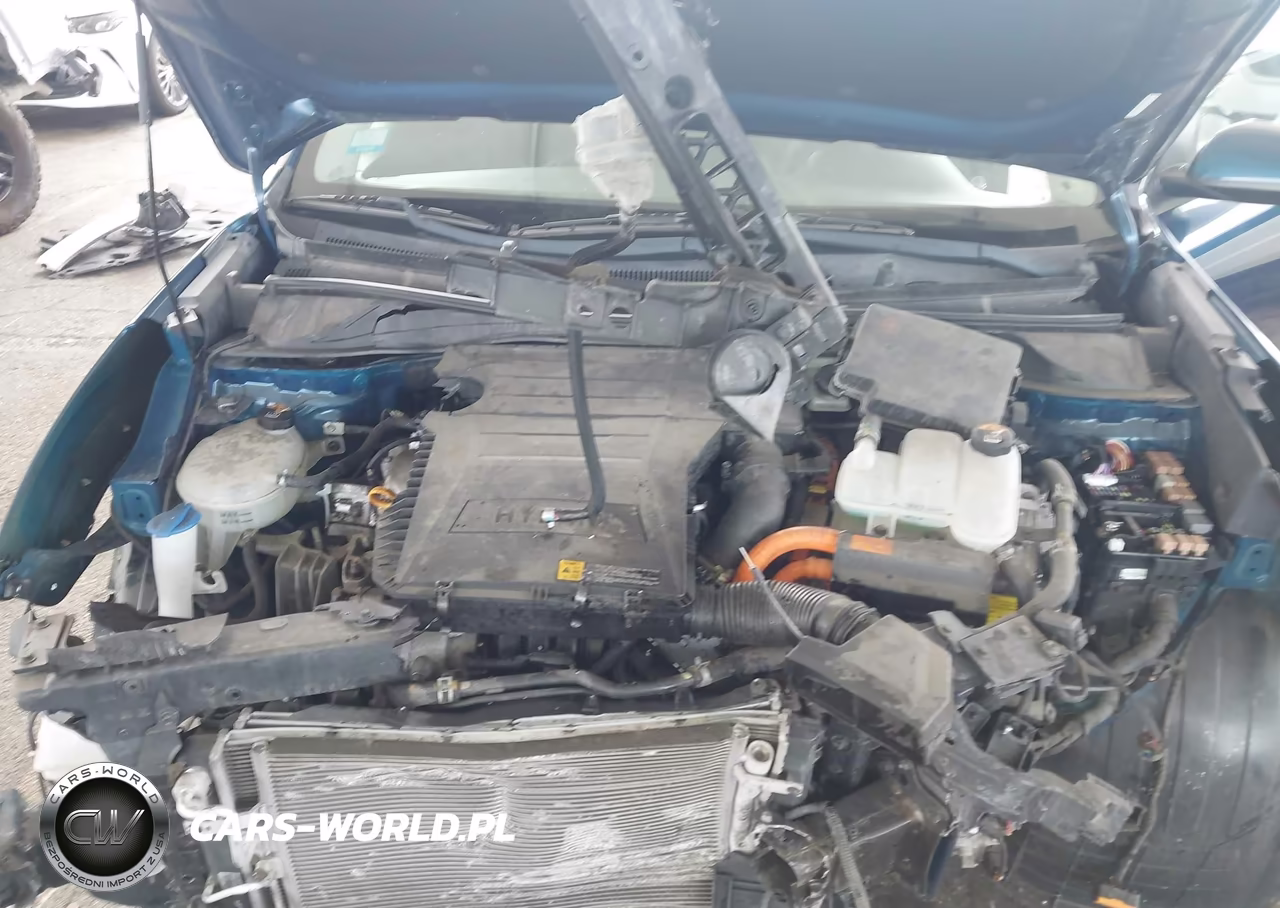 2017 Kia Niro Lx VIN:KNDCB3LCXH5101477 - 10