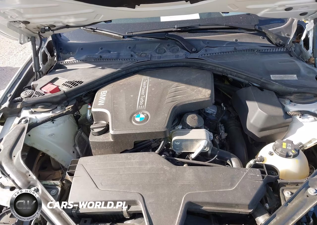 2014 BMW 428I VIN:WBA3V5C58EP747876 - 10