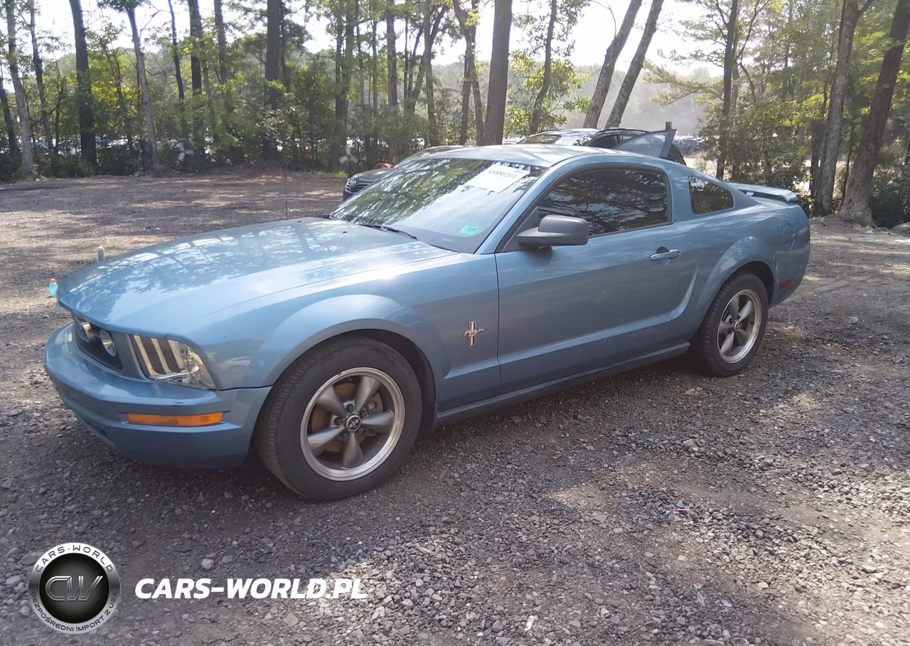 2006 Ford Mustang V6 VIN:1ZVFT80N365157994 - 2