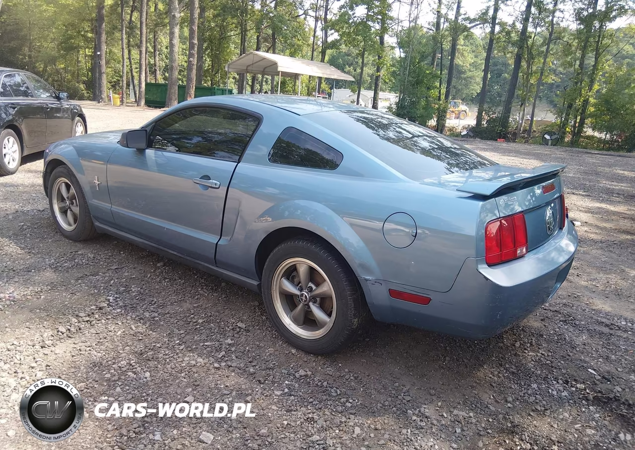 2006 Ford Mustang V6 VIN:1ZVFT80N365157994 - 3