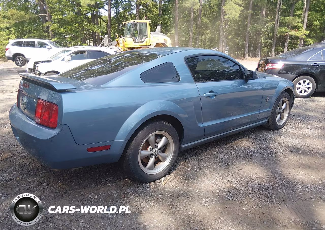 2006 Ford Mustang V6 VIN:1ZVFT80N365157994 - 4