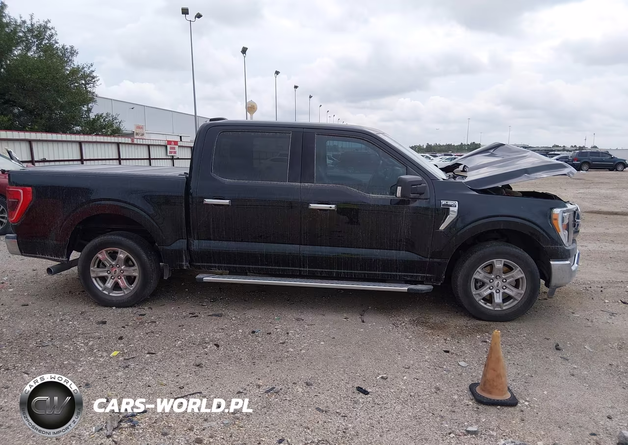 2022 Ford F-150 Xlt VIN:1FTEW1CP2NKD55766 - 13