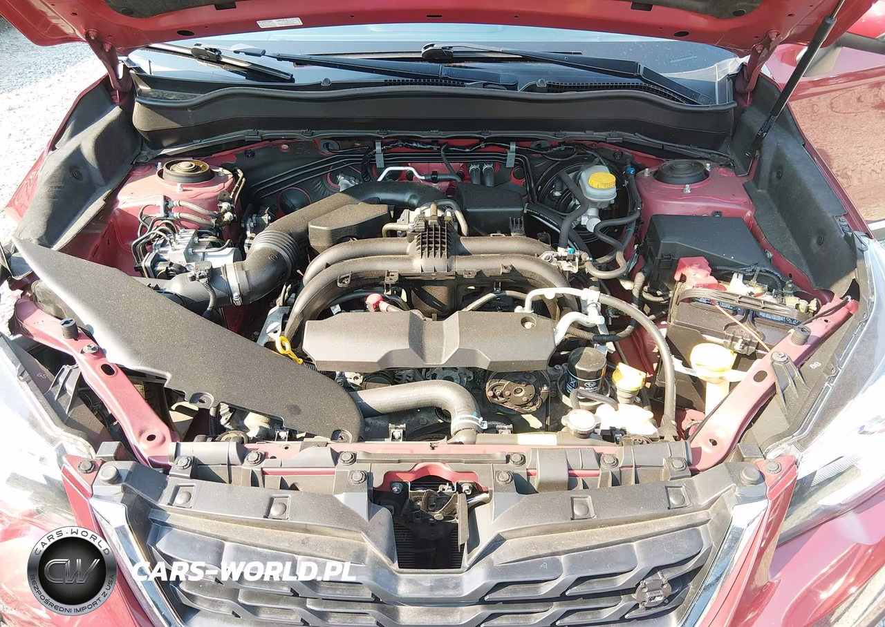 2017 Subaru Forester 2.5I Touring VIN:JF2SJAWC4HH473914 - 10