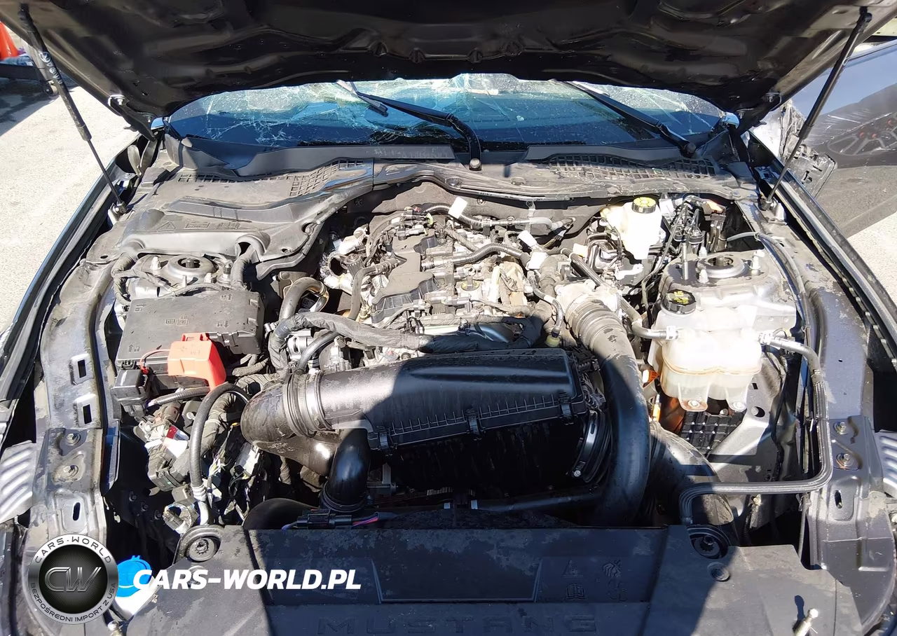 2025 Ford Mustang Ecoboost Fastback VIN:1FA6P8TH0S5132435 - 10