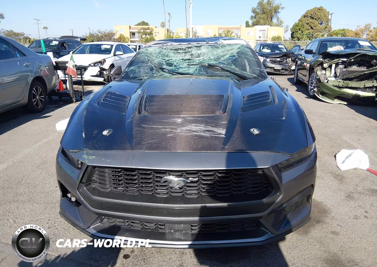 2025 Ford Mustang Ecoboost Fastback VIN:1FA6P8TH0S5132435 - 12
