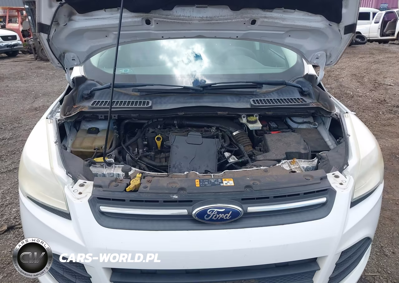 2014 Ford Escape Se VIN:1FMCU0GX8EUA30346 - 10