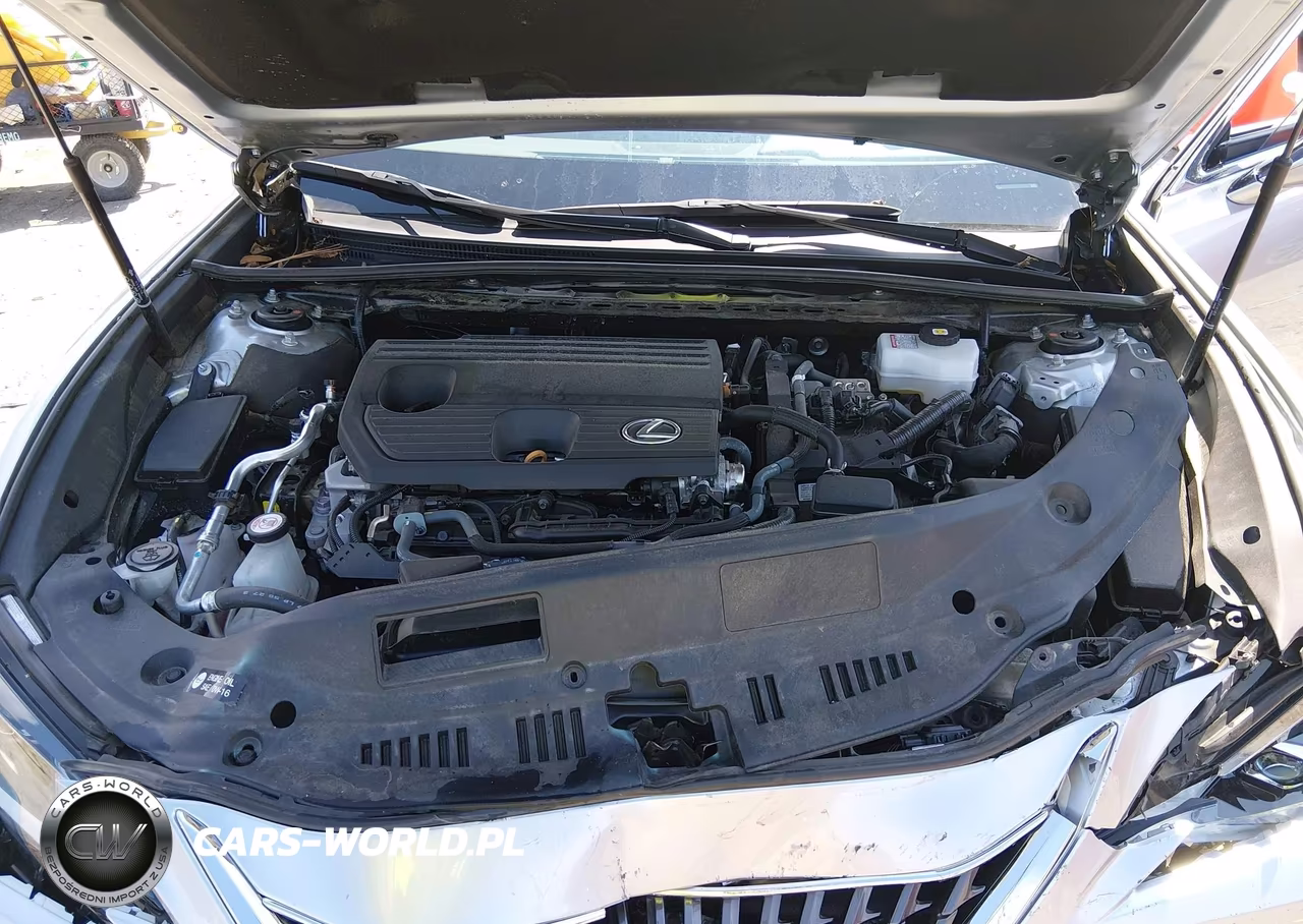 2024 Lexus Es 300H VIN:58ADA1C14RU042528 - 10