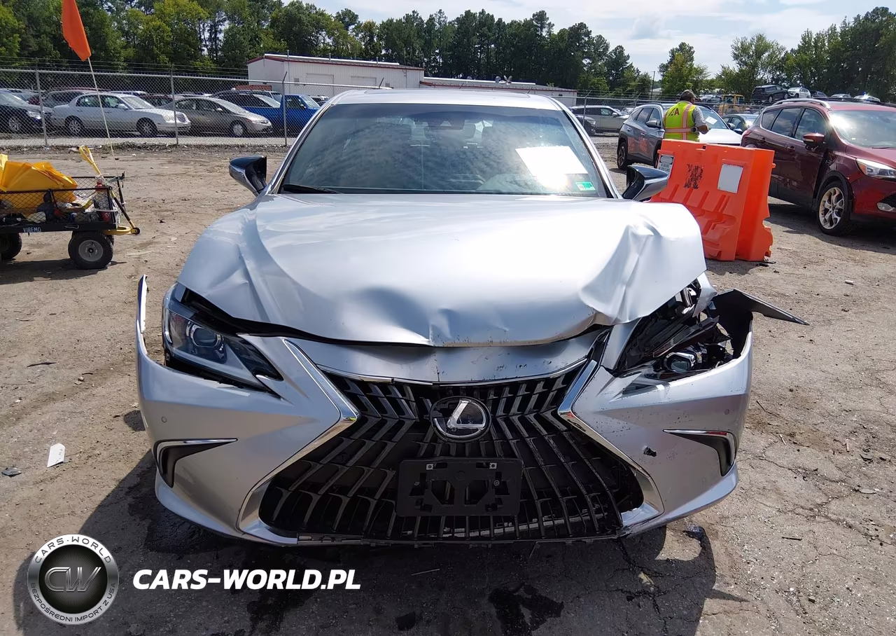 2024 Lexus Es 300H VIN:58ADA1C14RU042528 - 12