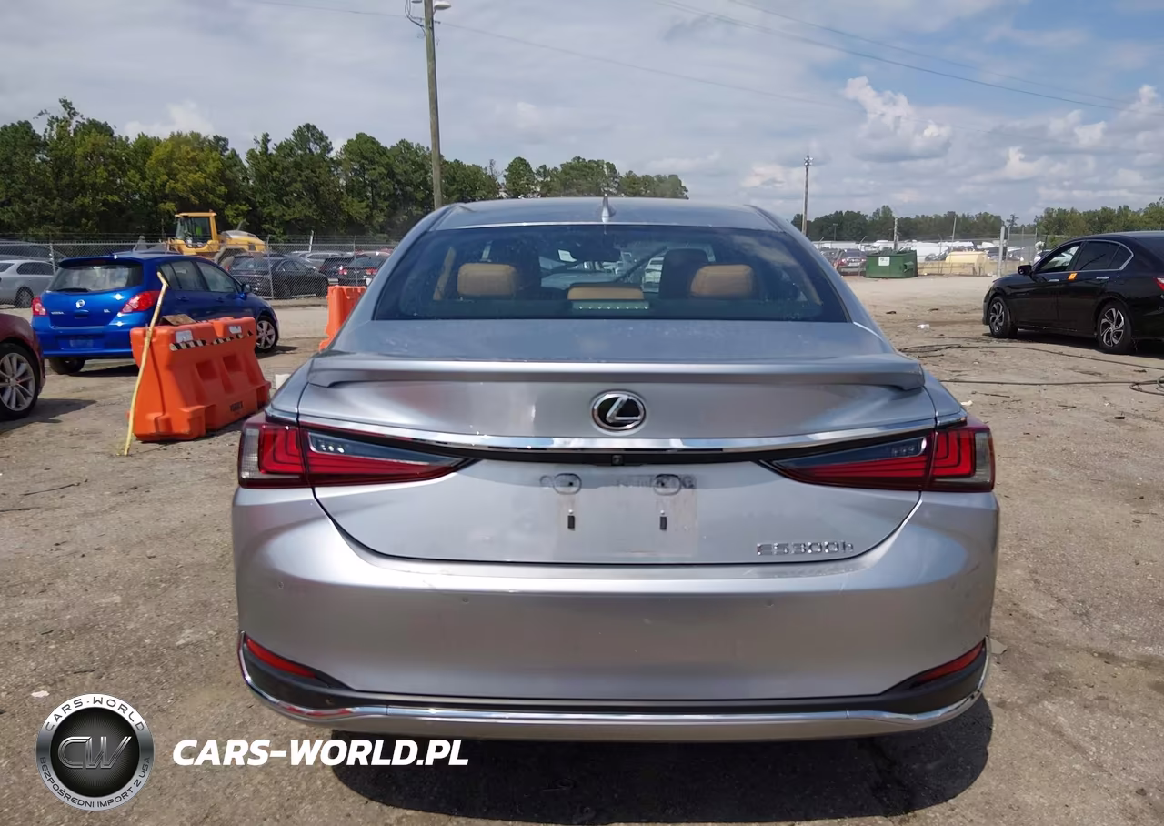 2024 Lexus Es 300H VIN:58ADA1C14RU042528 - 16