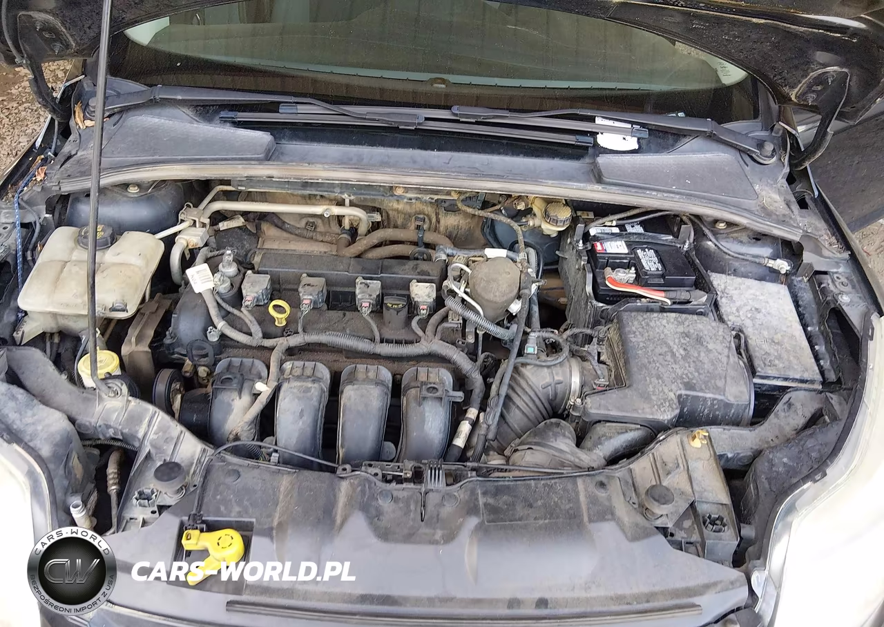 2014 Ford Focus Se VIN:1FADP3K20EL392731 - 10