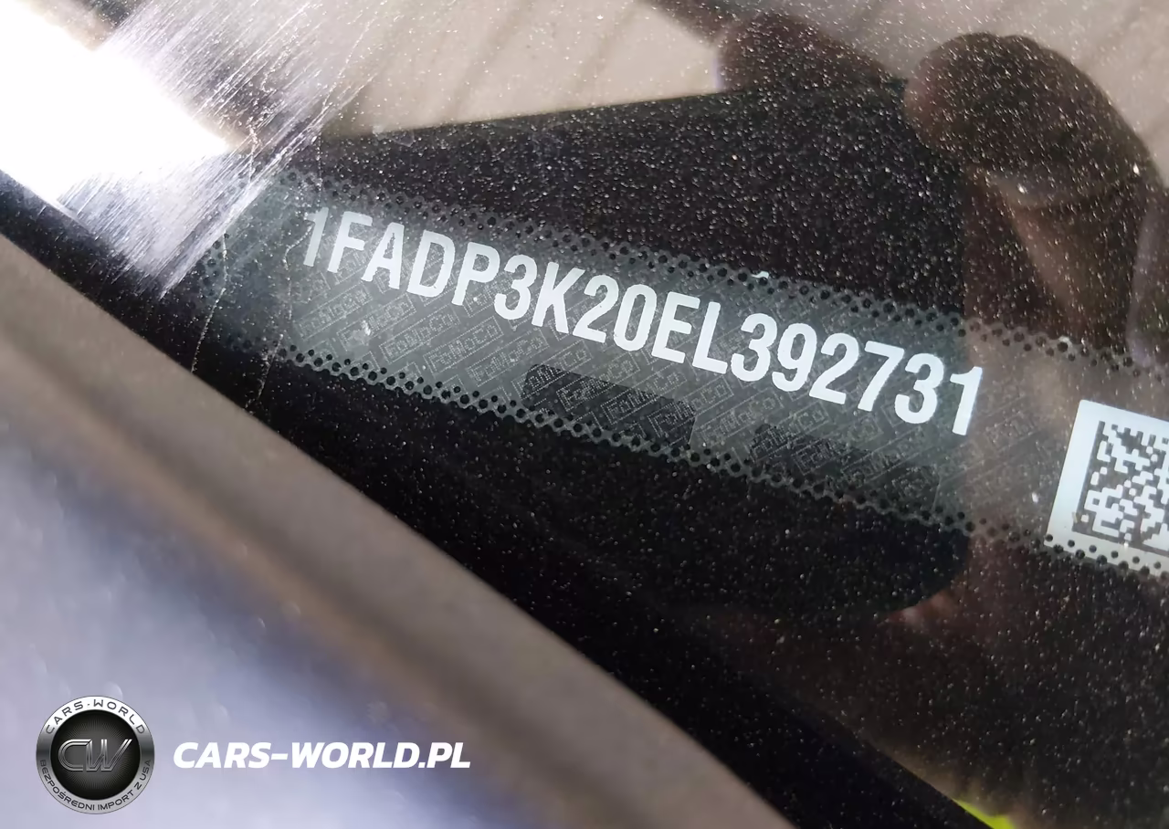 2014 Ford Focus Se VIN:1FADP3K20EL392731 - 9