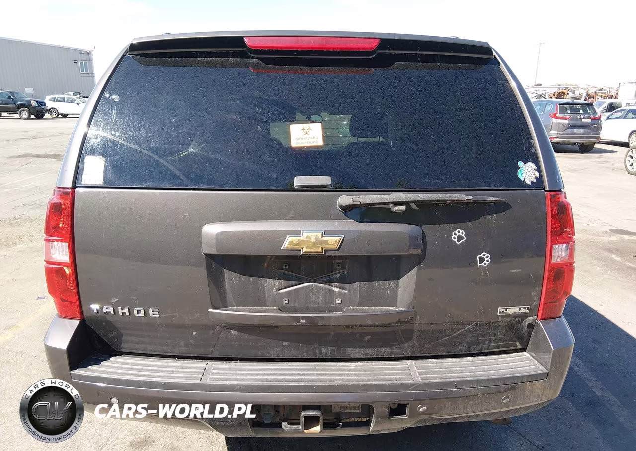 2010 Chevrolet Tahoe Lt VIN:1GNUKBE04AR120856 - 17