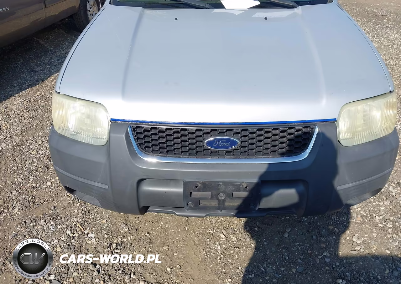 2004 Ford Escape Xlt VIN:1FMYU93164KB06099 - 6