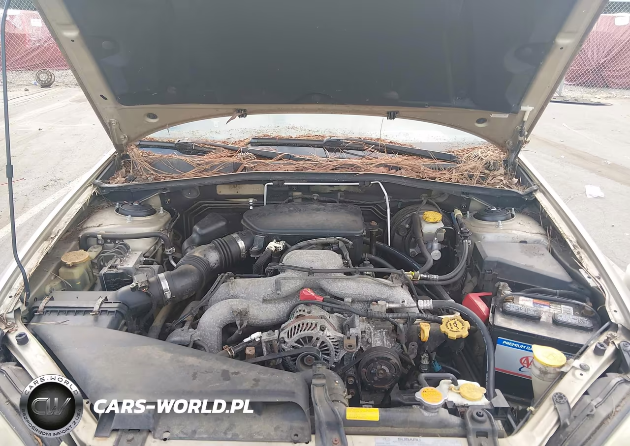 2009 Subaru Outback 2.5I Limited VIN:4S4BP66C497310306 - 10
