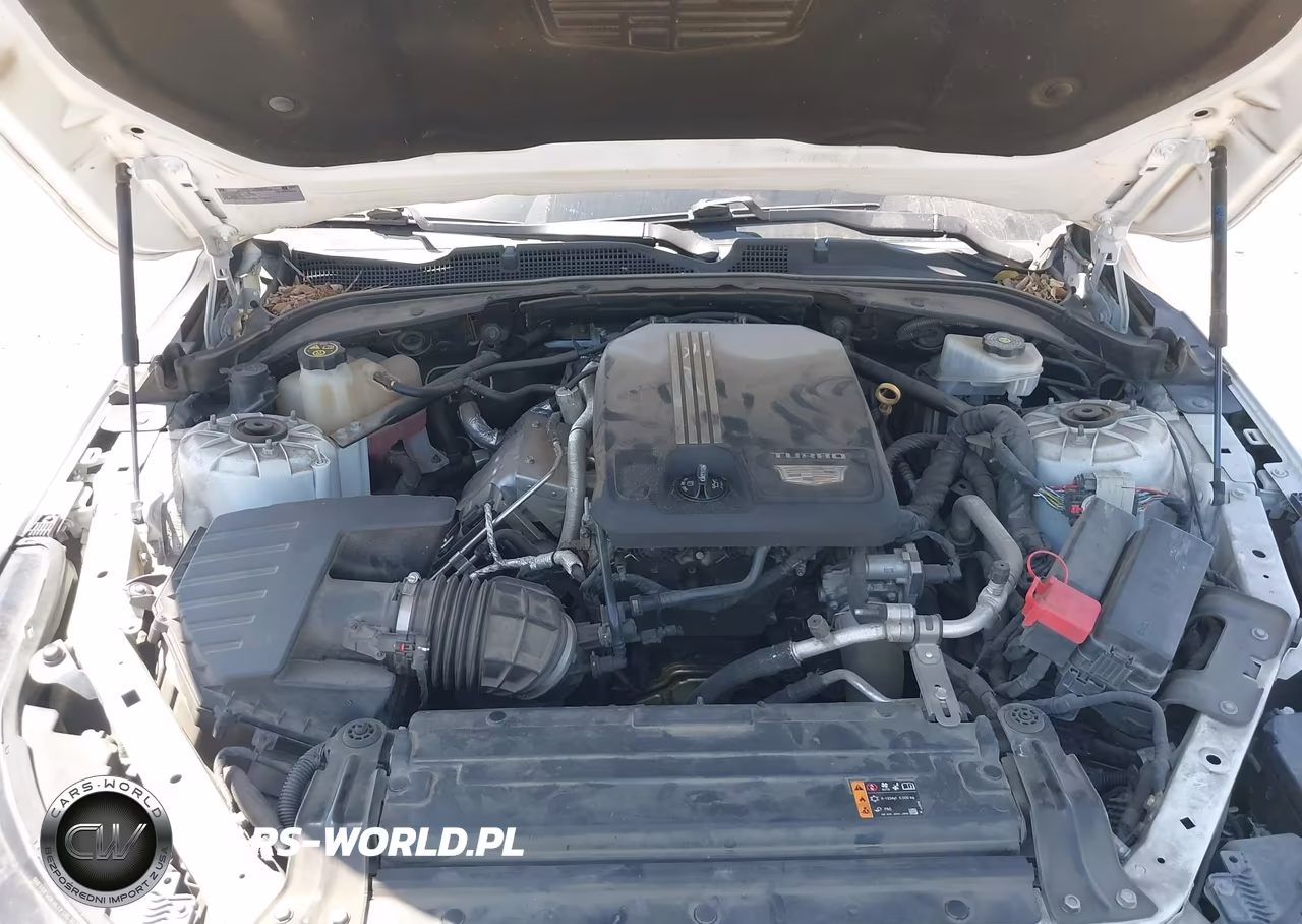 2021 Cadillac Ct4 Luxury VIN:1G6DJ5RK5M0115248 - 10