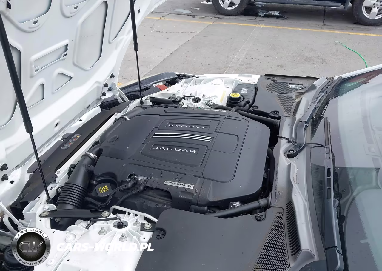 2014 Jaguar F-Type V8 S VIN:SAJWA6GL4EMK08586 - 10