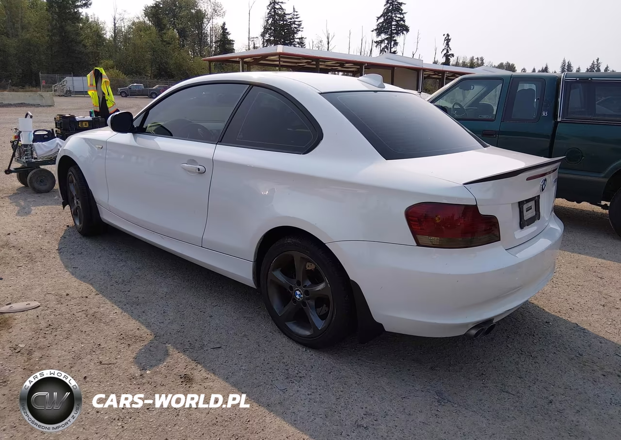 2010 BMW 128I VIN:WBAUP9C5XAVF49556 - 3