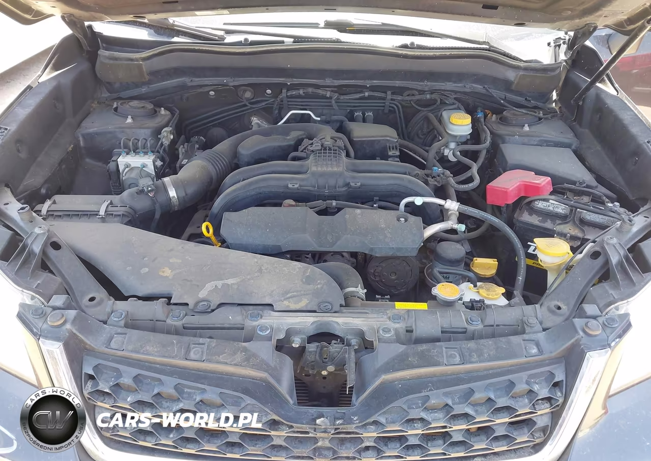 2014 Subaru Forester 2.5I Limited VIN:JF2SJAJC2EH540321 - 10
