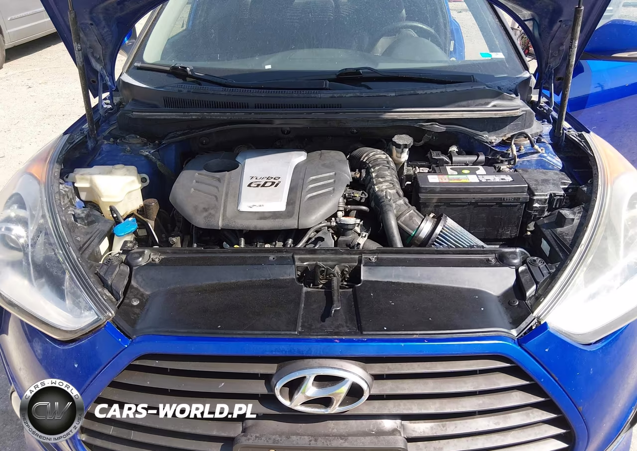 2015 Hyundai Veloster Turbo VIN:KMHTC6AEXFU223256 - 10