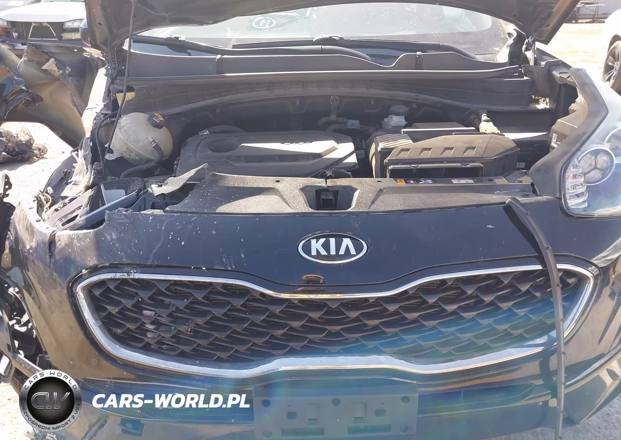 2020 Kia Sportage Lx VIN:KNDPMCAC1L7789784 - 10