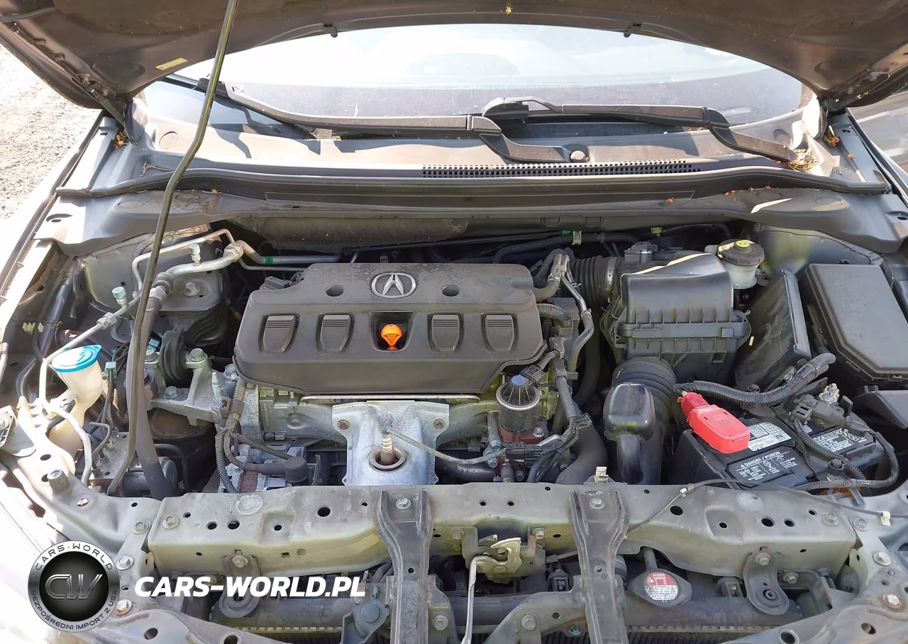 2013 Acura Ilx 2.0L VIN:19VDE1F53DE021412 - 10