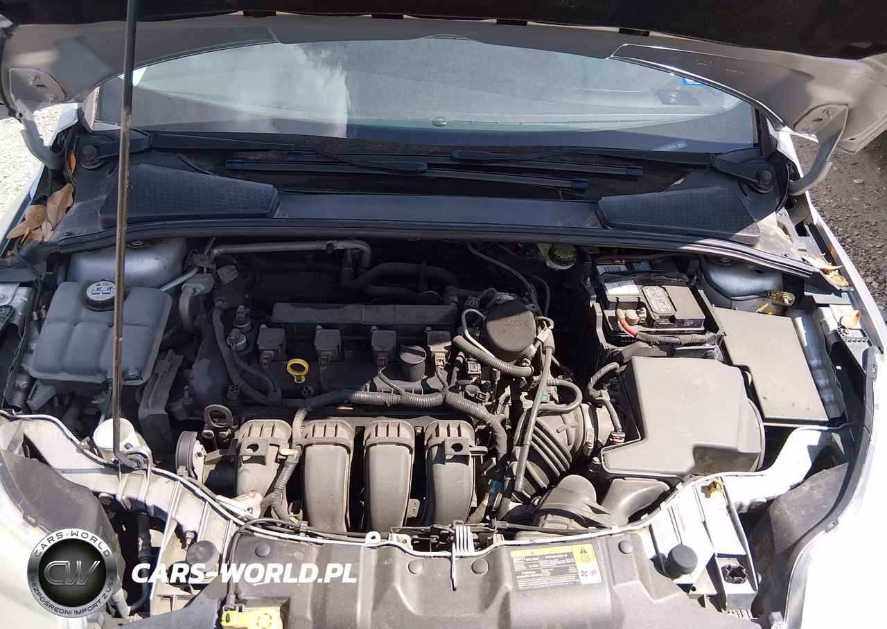 2014 Ford Focus Se VIN:1FADP3K22EL130158 - 10