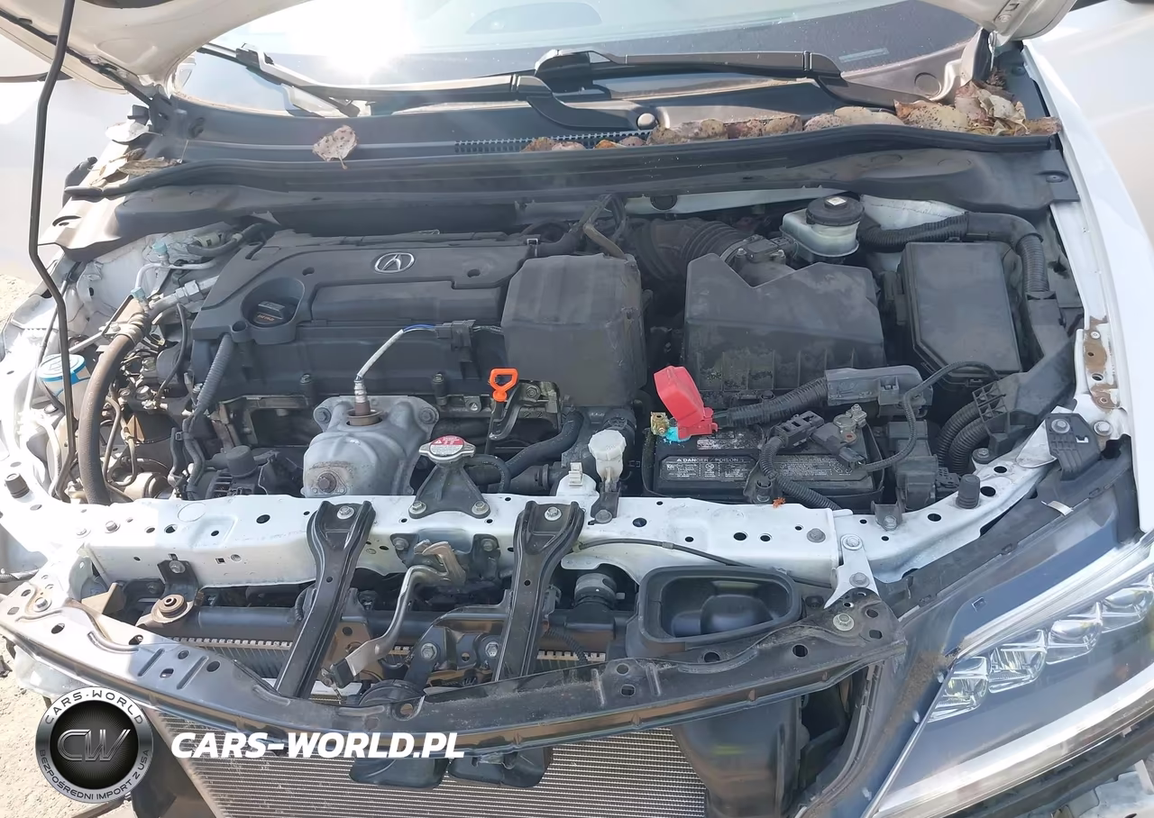 2018 Acura Ilx Special Edition VIN:19UDE2F47JA007260 - 10