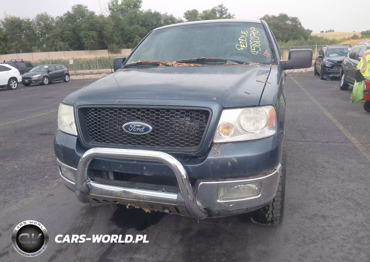 2004 Ford F-150 Fx4-Lariat-Xlt VIN:1FTPW14564KB56966 - 6