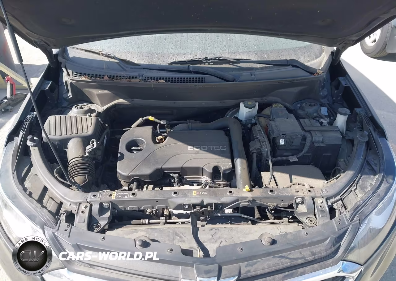 2019 Chevrolet Equinox Ls VIN:3GNAXHEV2KS586576 - 10