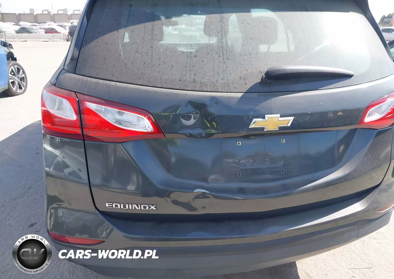2019 Chevrolet Equinox Ls VIN:3GNAXHEV2KS586576 - 19