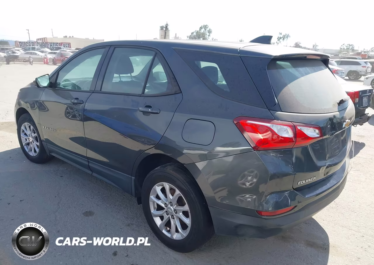 2019 Chevrolet Equinox Ls VIN:3GNAXHEV2KS586576 - 3