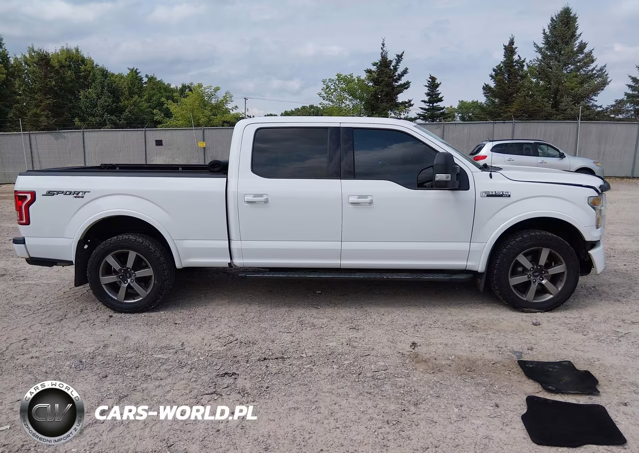 2016 Ford F-150 Xlt VIN:1FTFW1EF5GFB32125 - 13
