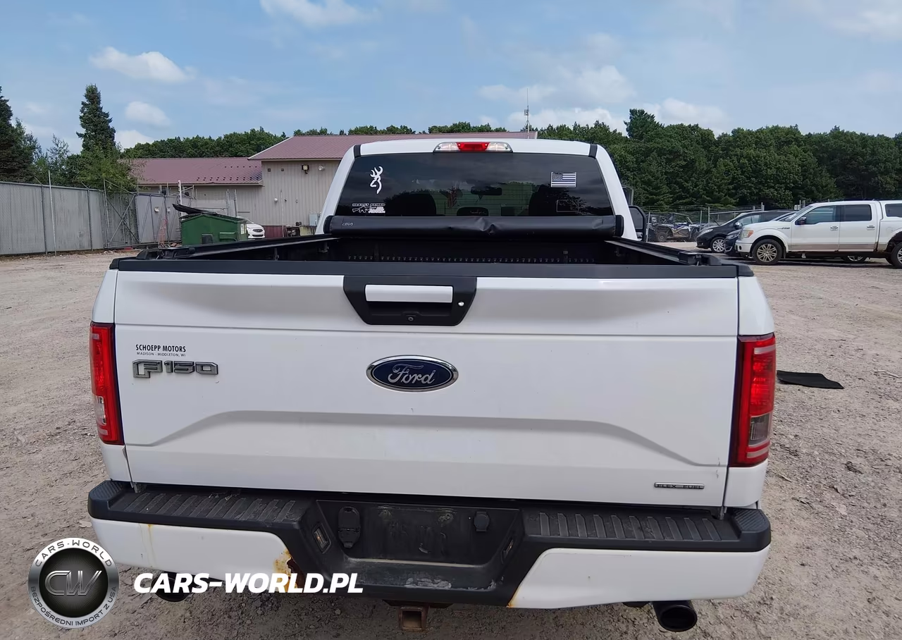 2016 Ford F-150 Xlt VIN:1FTFW1EF5GFB32125 - 16