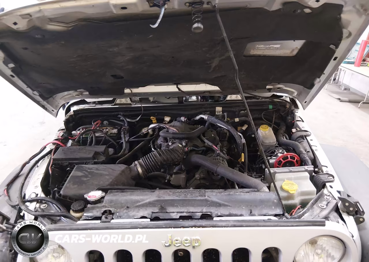 2009 Jeep Wrangler Rubicon VIN:1J8GA64129L776801 - 10