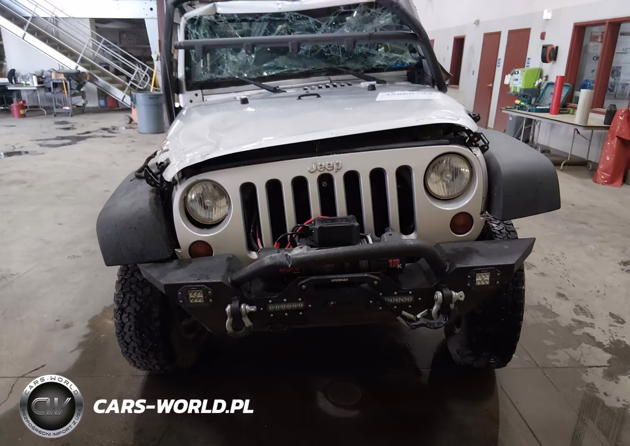 2009 Jeep Wrangler Rubicon VIN:1J8GA64129L776801 - 12