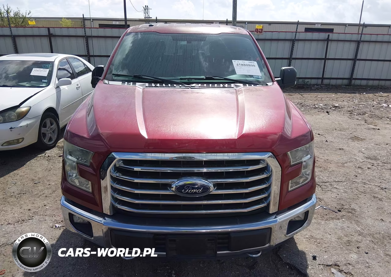 2015 Ford F-150 Xlt VIN:1FTEW1EF0FKE70484 - 12