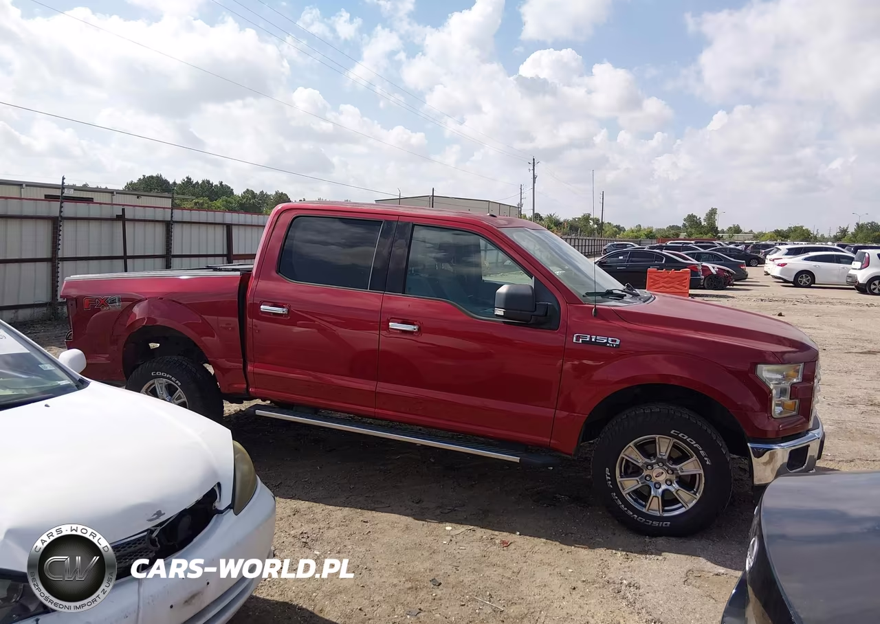 2015 Ford F-150 Xlt VIN:1FTEW1EF0FKE70484 - 13