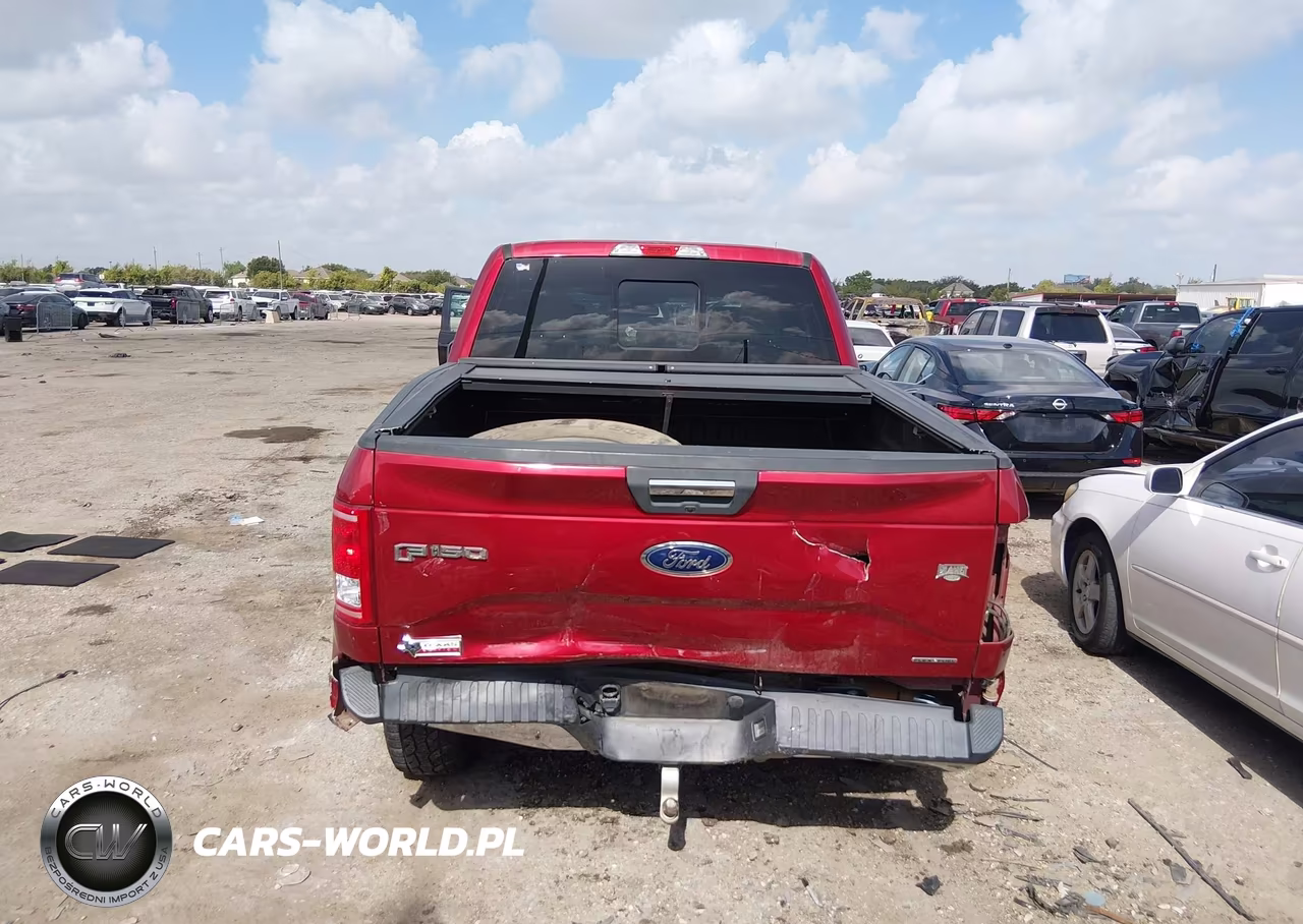 2015 Ford F-150 Xlt VIN:1FTEW1EF0FKE70484 - 16