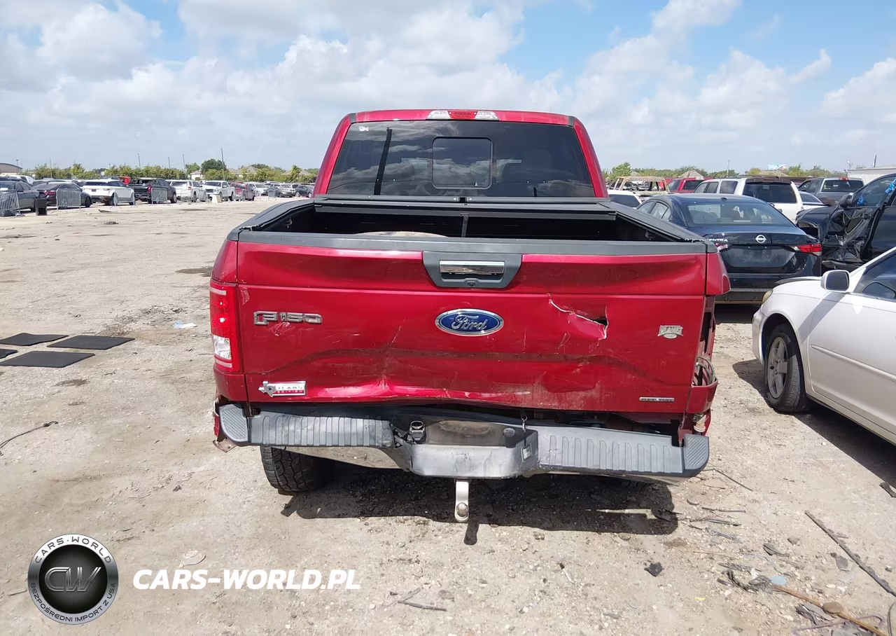 2015 Ford F-150 Xlt VIN:1FTEW1EF0FKE70484 - 6