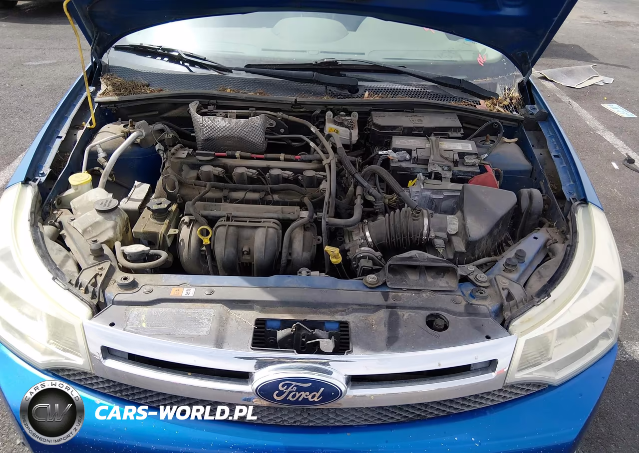 2011 Ford Focus Sel VIN:1FAHP3HN3BW169631 - 10