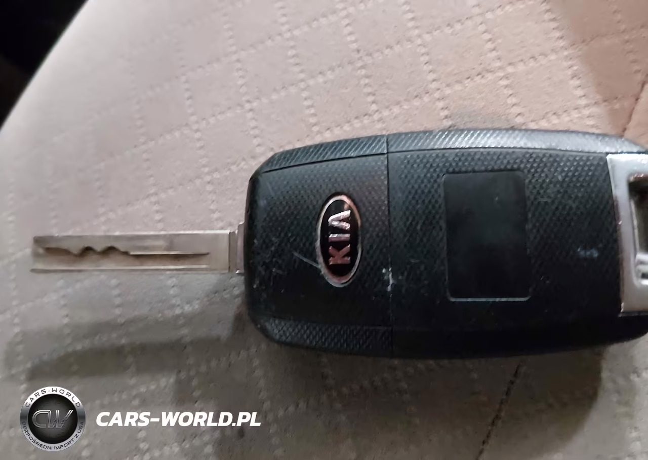 2016 Kia Sorento 2.4L Lx VIN:5XYPG4A32GG040644 - 11