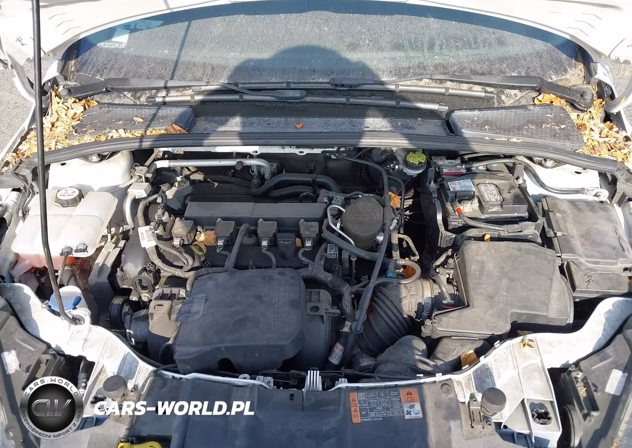 2015 Ford Focus Se VIN:1FADP3F2XFL331043 - 10