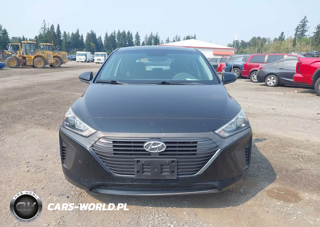 2019 Hyundai Ioniq Hybrid Blue VIN:KMHC65LC7KU159507 - 12