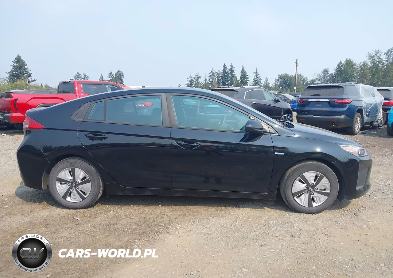 2019 Hyundai Ioniq Hybrid Blue VIN:KMHC65LC7KU159507 - 13