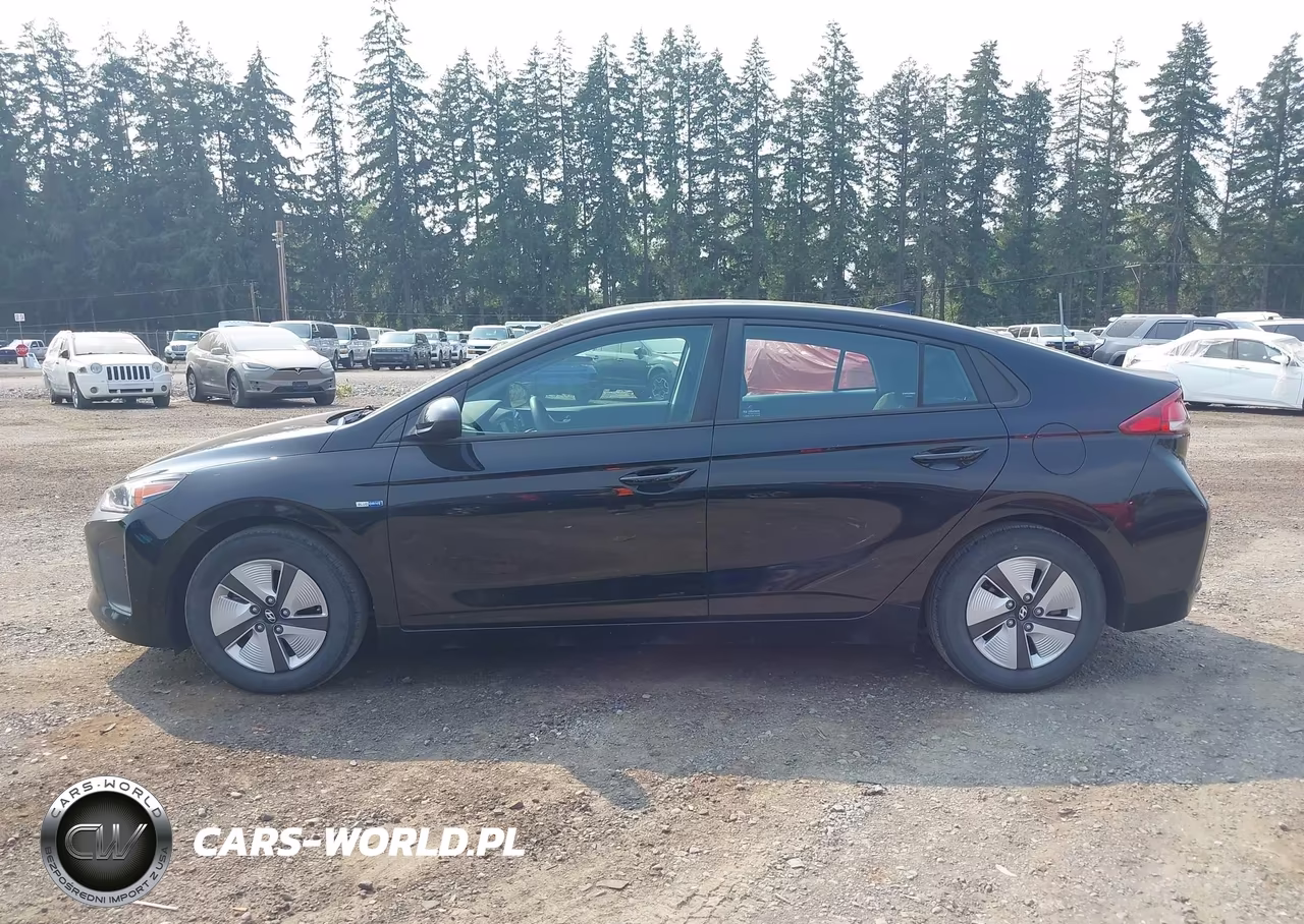 2019 Hyundai Ioniq Hybrid Blue VIN:KMHC65LC7KU159507 - 14
