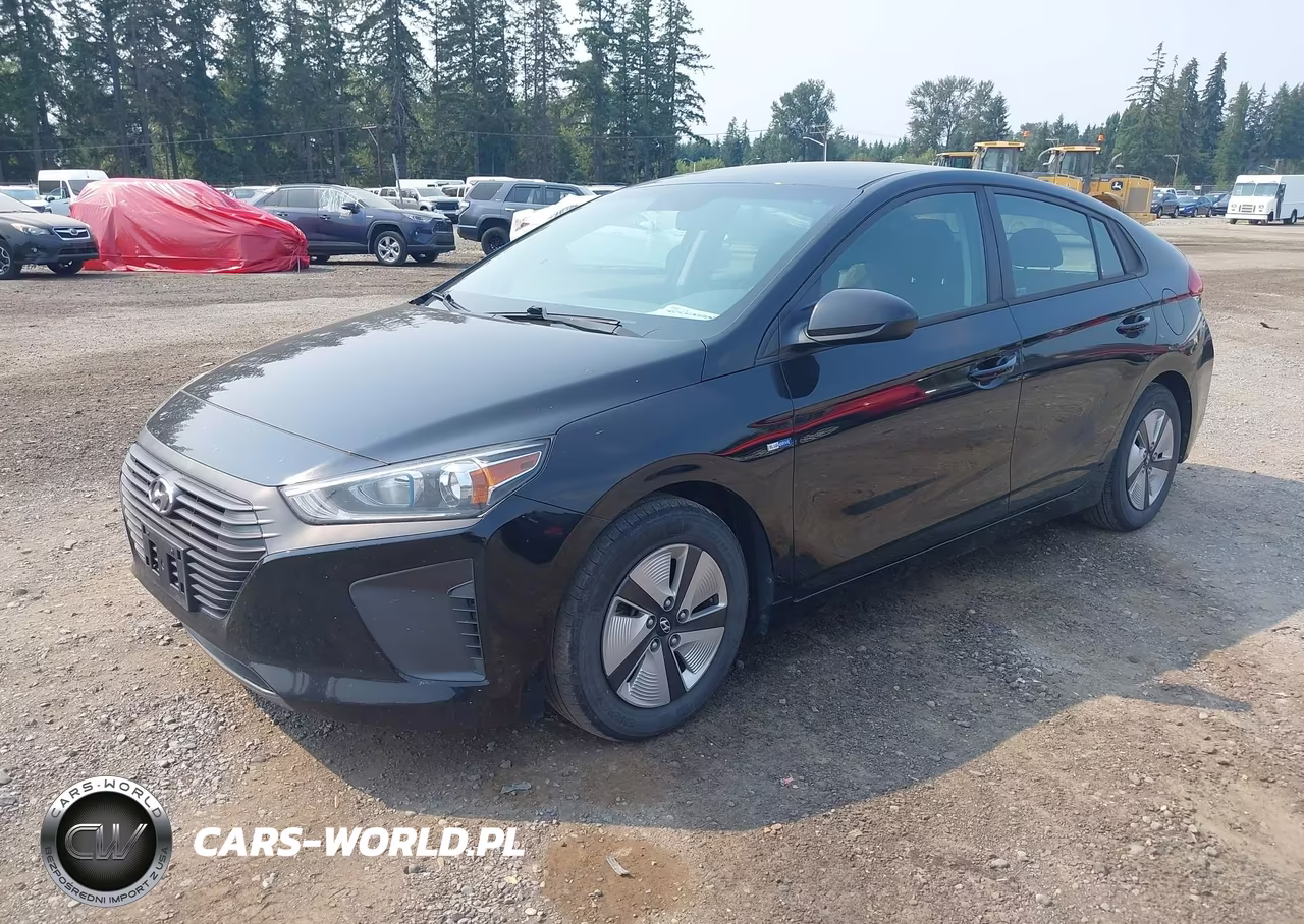 2019 Hyundai Ioniq Hybrid Blue VIN:KMHC65LC7KU159507 - 2