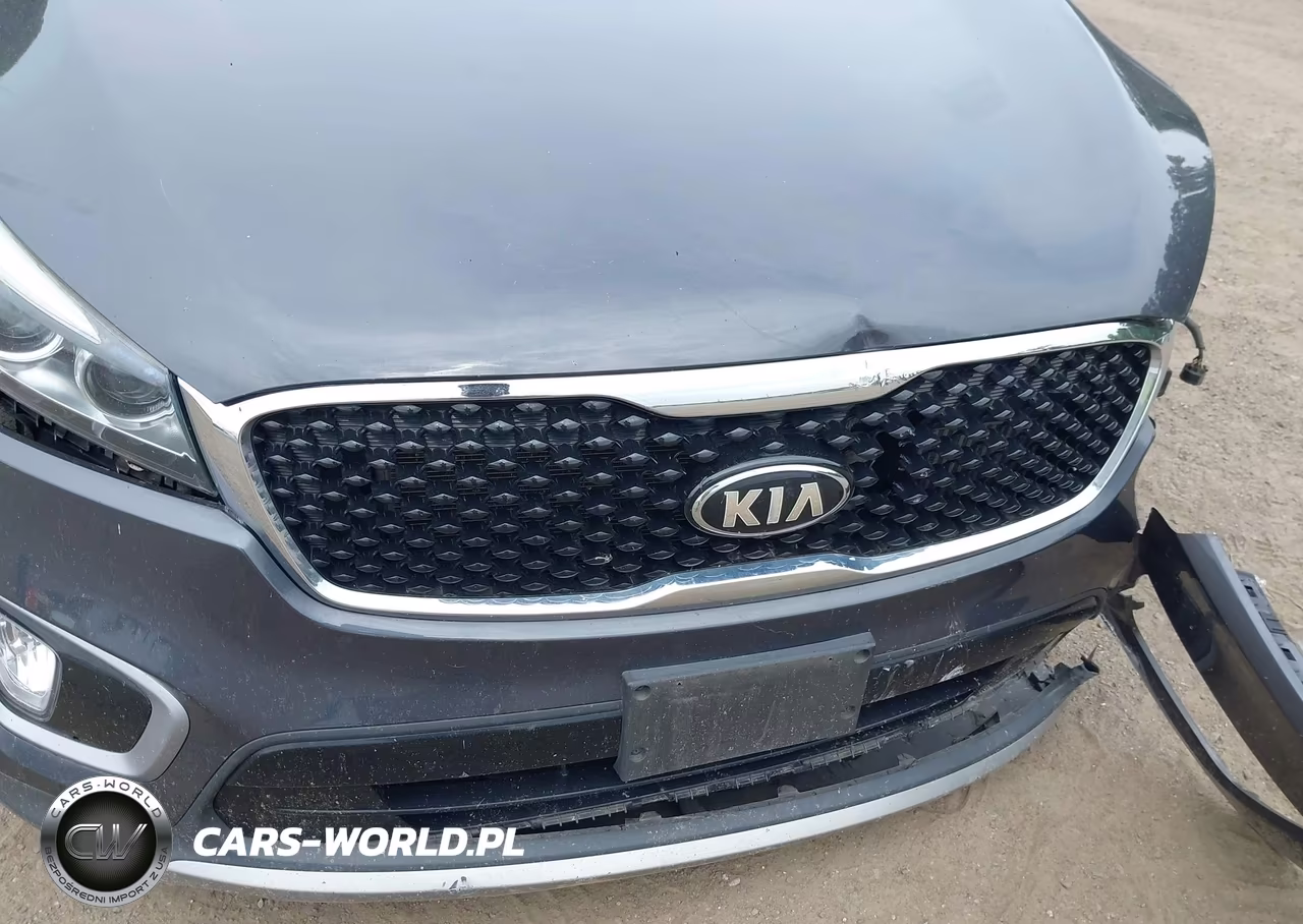 2017 Kia Sorento 2.0T Ex VIN:5XYPHDA11HG279485 - 15