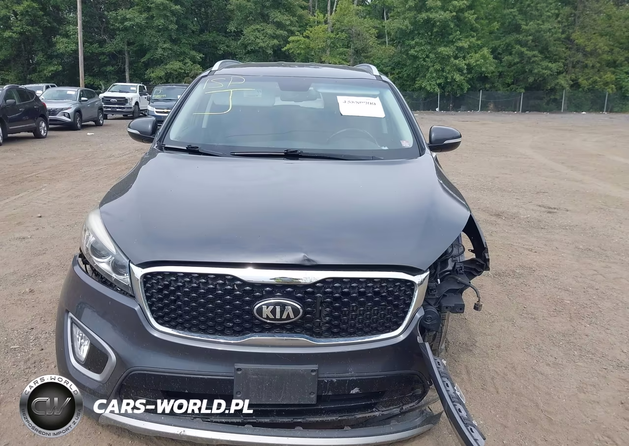 2017 Kia Sorento 2.0T Ex VIN:5XYPHDA11HG279485 - 17