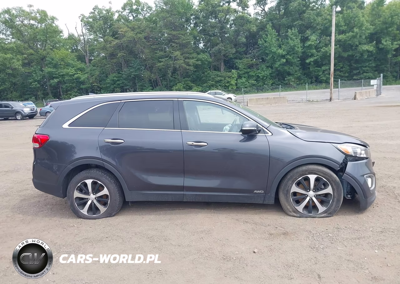 2017 Kia Sorento 2.0T Ex VIN:5XYPHDA11HG279485 - 18