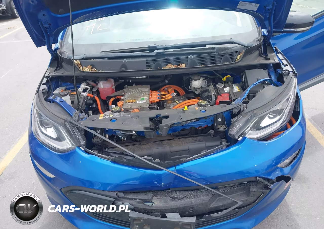 2017 Chevrolet Bolt Ev Lt VIN:1G1FW6S01H4190896 - 10